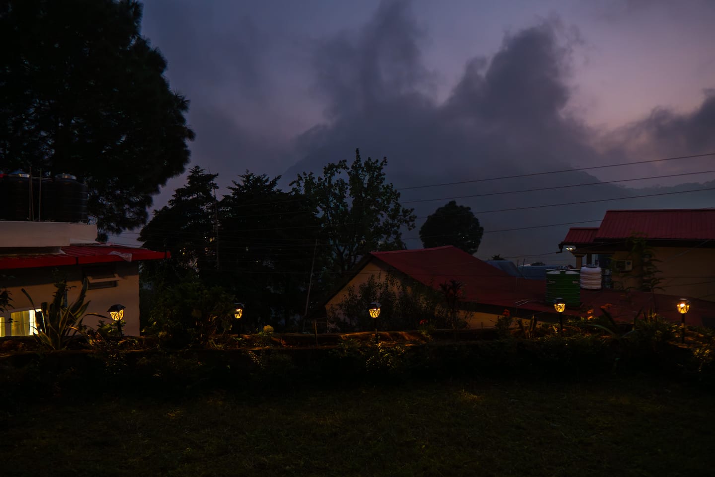 Blue dusk over the rooftops and trees around the homestay
